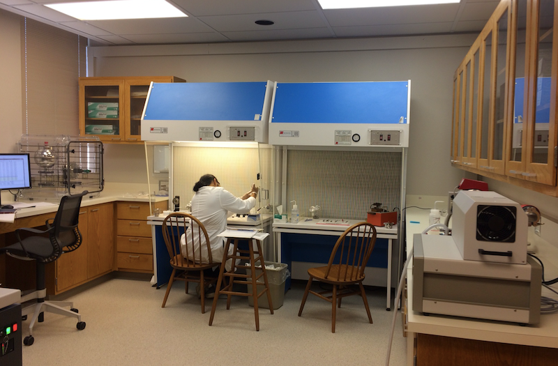 TIMS lab laminar flow benches