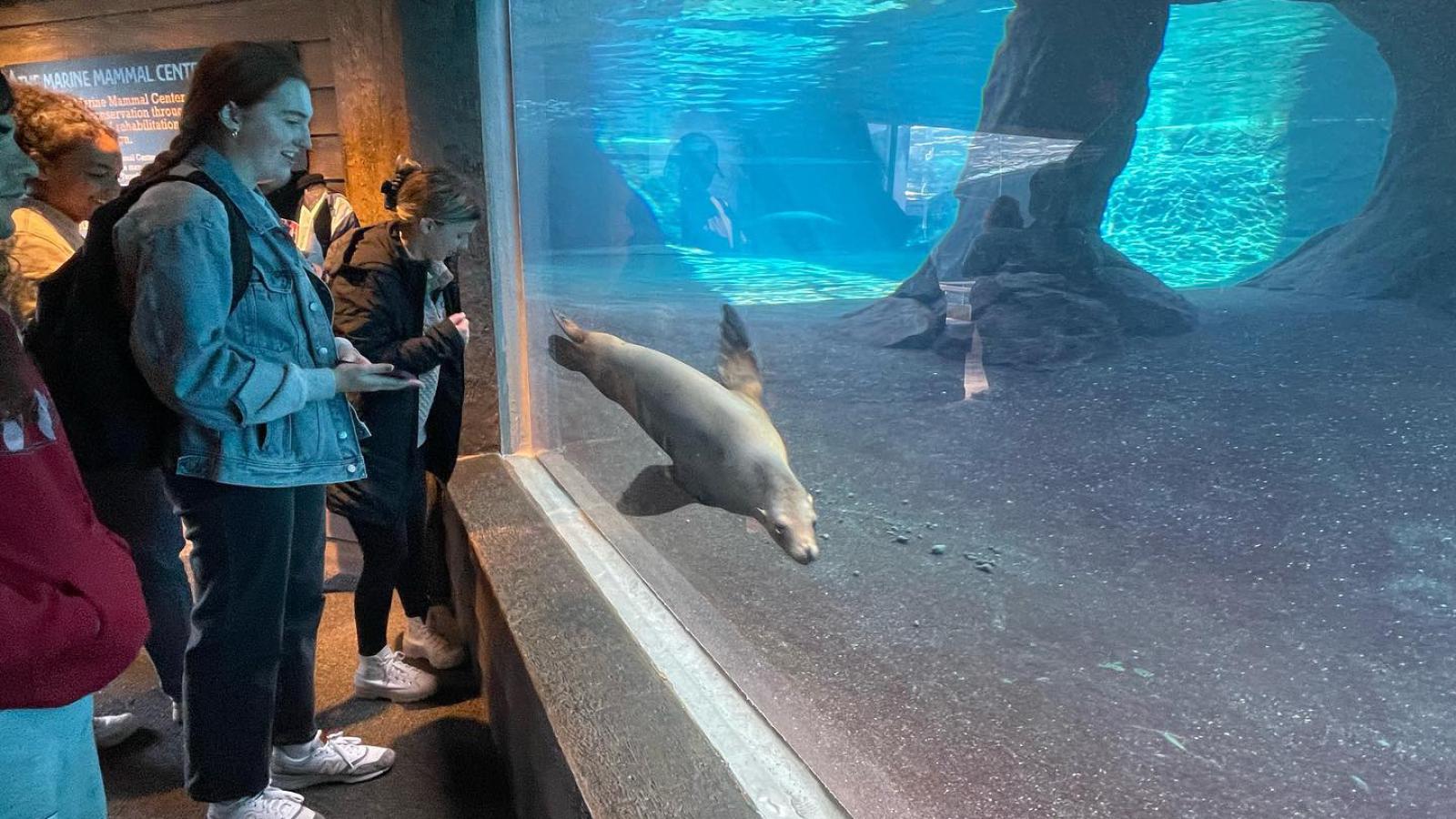 Students watching seals at the Columbus Zoo & Aquarium