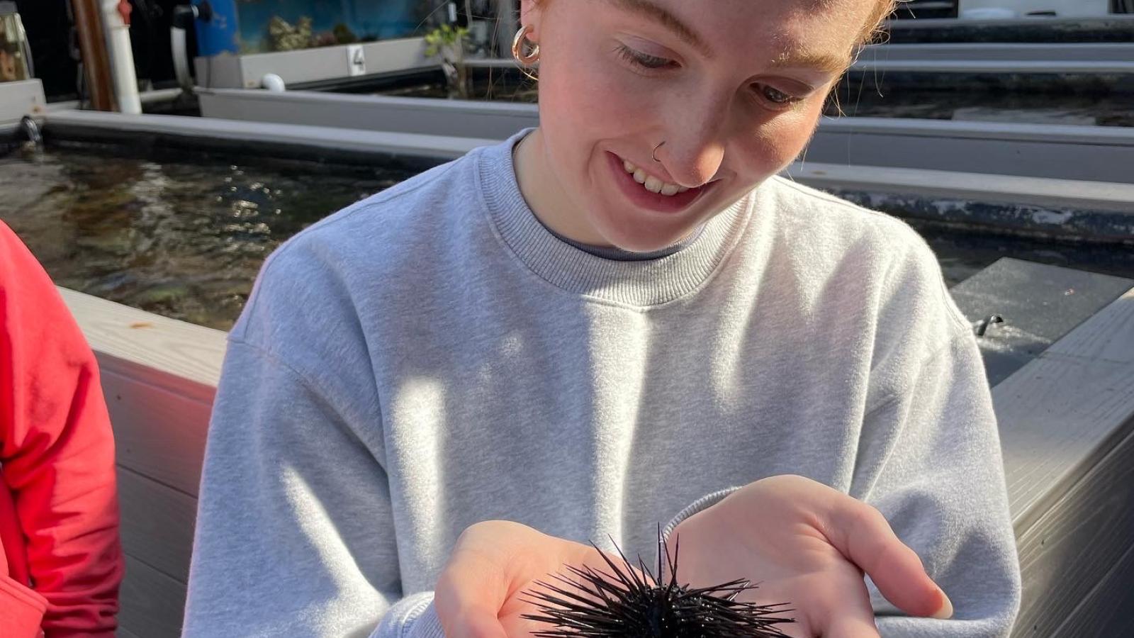 Student holding sea urchin at Reef Systems