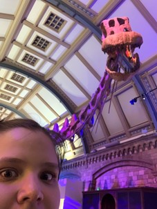 Third-year PhD candidate Carmi Thompson trained at the Natural History Museum in London thanks to funding from Friends of Orton Hall. 