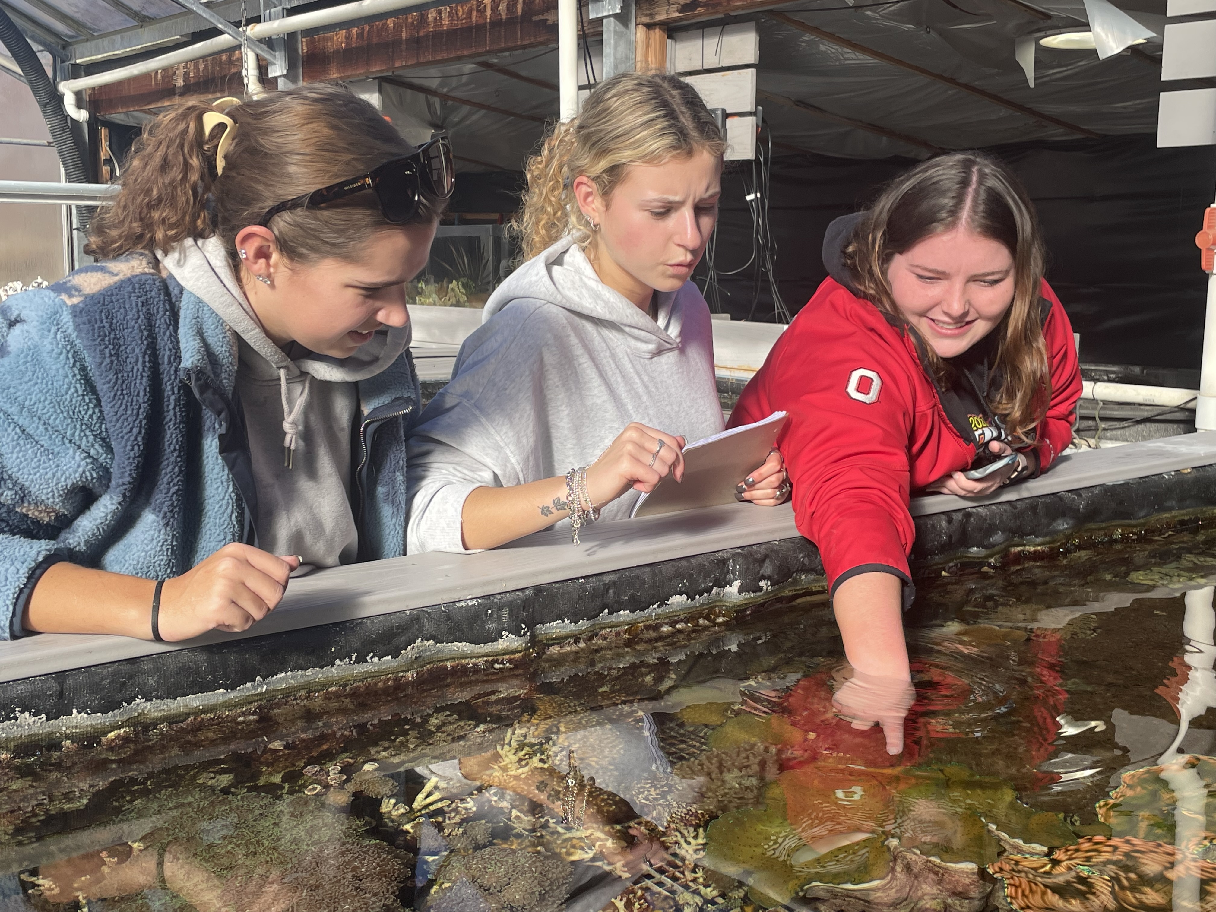 Getting a chance to touch corals at the Reef Systems Coral Farm