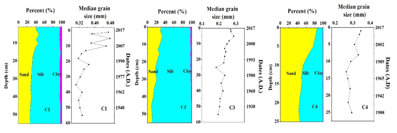 Particle size distribution and historical changes in grain size in the study area
