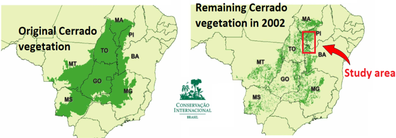 Change in cerrado vegetation
