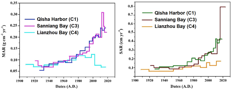 Historical changes in Mass Accumulation Rates (MAR) and Sediment Accumulation Rates (SAR) in the study area