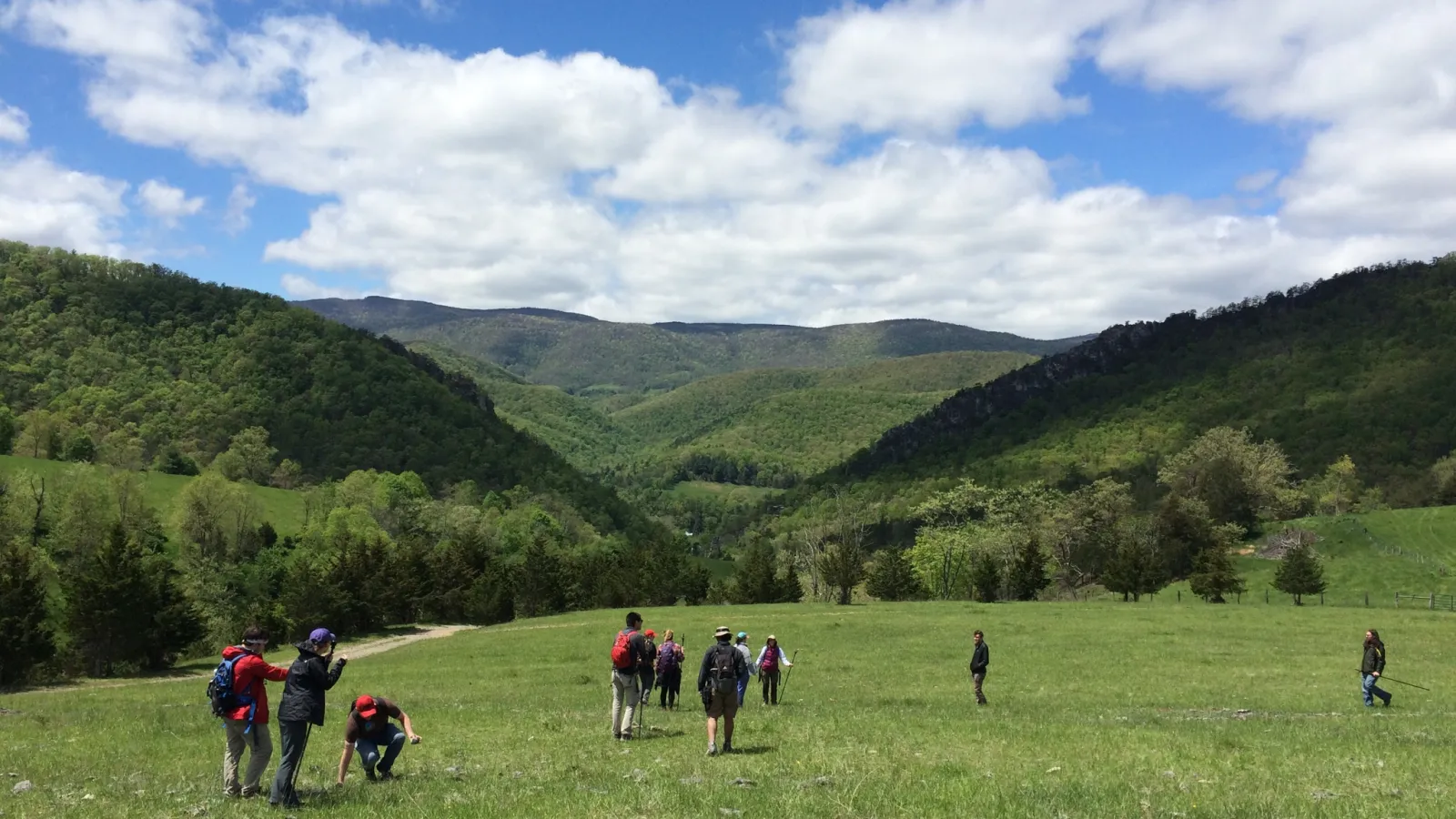 William J. Buschman Scholarship Fund