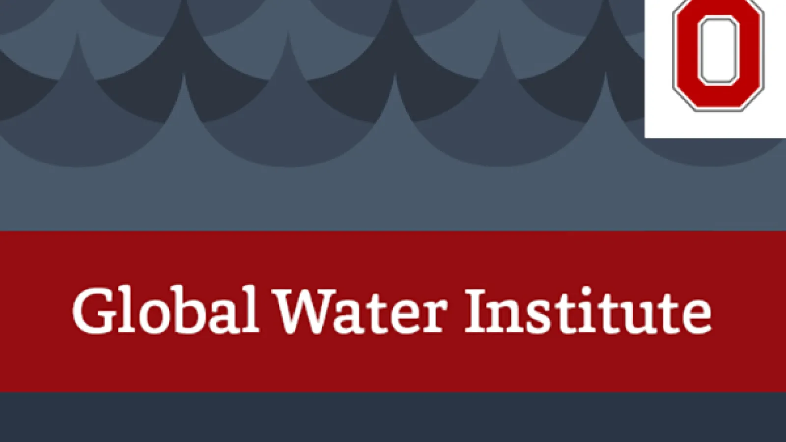 Global Water Institute