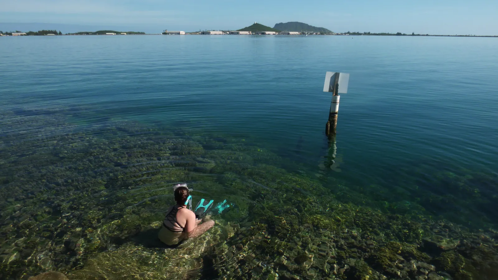 Buschman Scholarship Fund in Earth Sciences