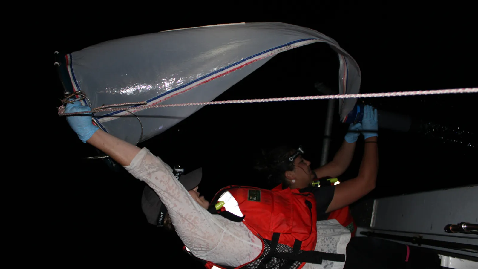 Graduate student Ann Marie Hulver pulling in the plankton net