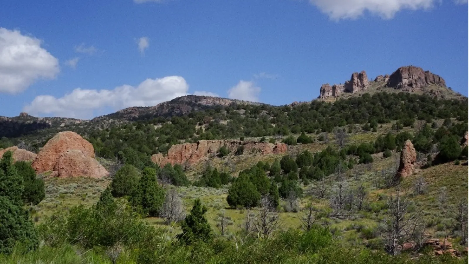 Base of the Sevier mega-slide in Cottonwood Wash showing brecciated outcrops of the Three Creeks Tuff Member in the middle distance.