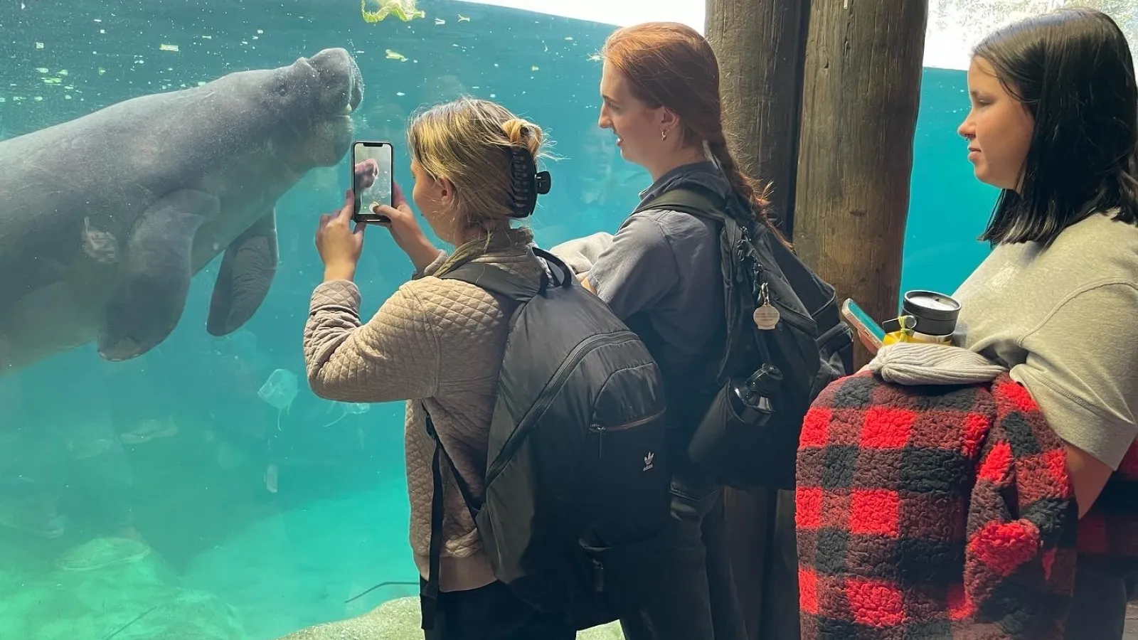 Students watching manatees at the Columbus Zoo & Aquarium