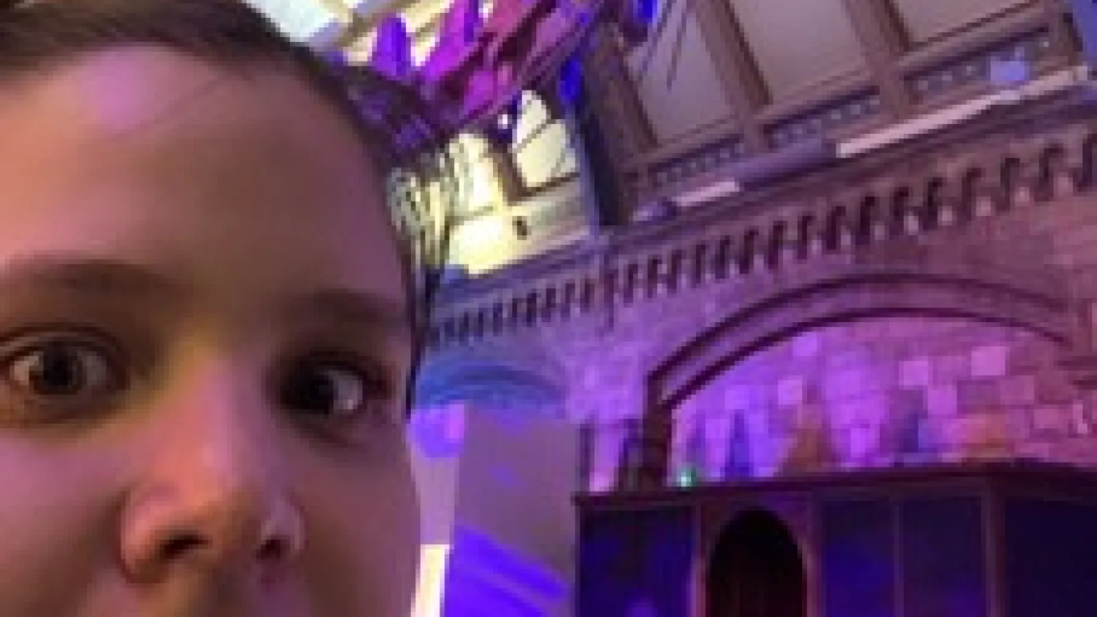 Third-year PhD candidate Carmi Thompson trained at the Natural History Museum in London thanks to funding from Friends of Orton Hall. 