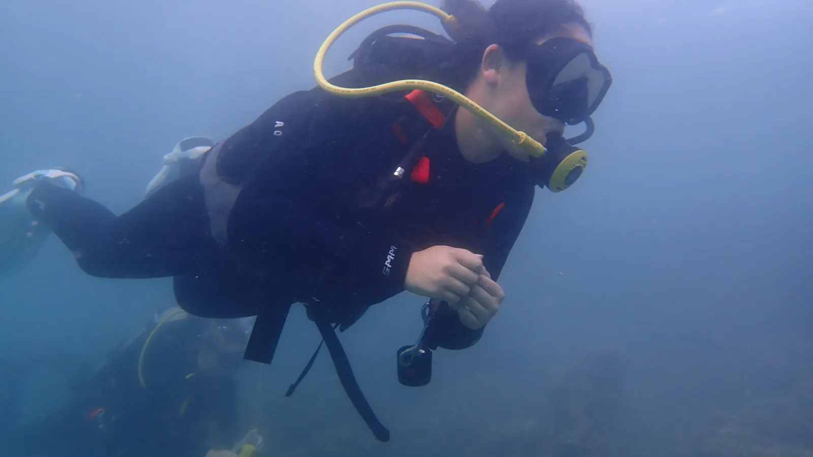 Graduate student Shannon Dixon scuba diving on a Hawaiian reef.