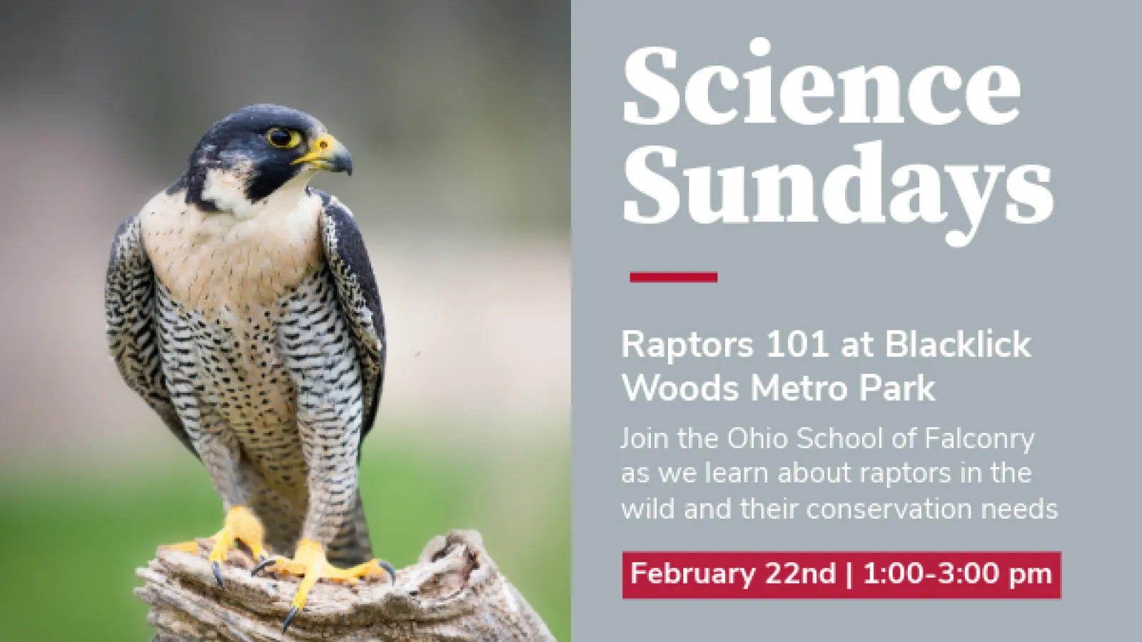 Science Sunday FE 6th 2026 Social Media Poster