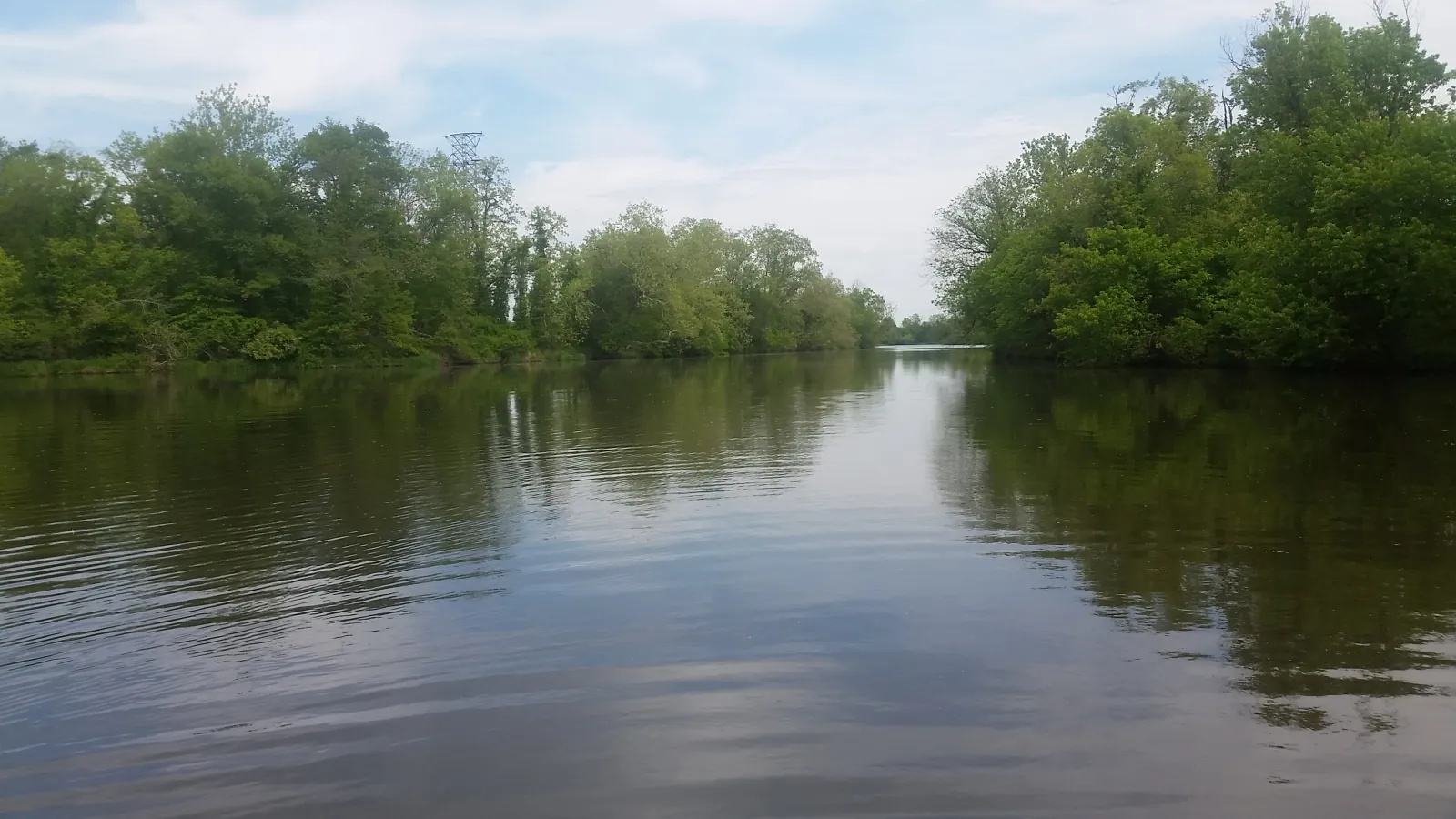 Coastal wetland