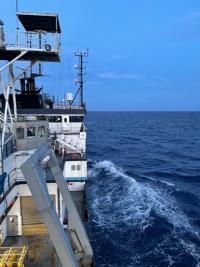 SES at Sea: Krysova in the South Atlantic Bight