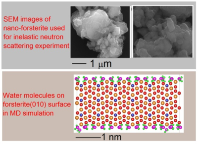 SEM images of nano-forsterite
