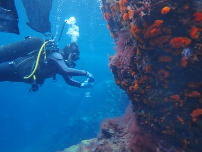 Dr. Grottoli and graduate student Ann Marie Hulver getting ready to collect coral samples in Ischia, Italy