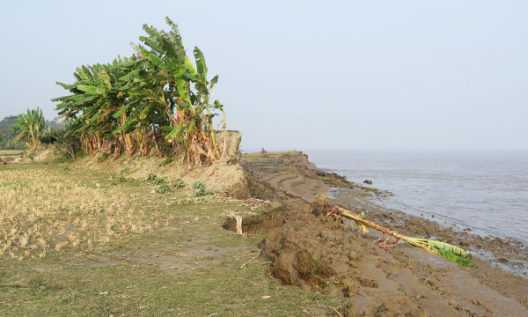 remains of eroded embankment wall in a rice field in Bangladesh