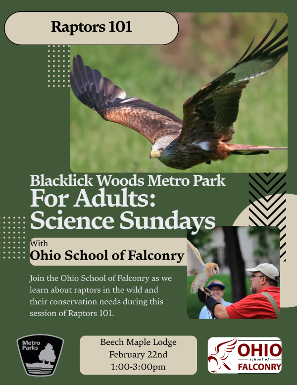 Raptors 101: Adult Science Sunday at Blacklick Woods Metro Park Poster