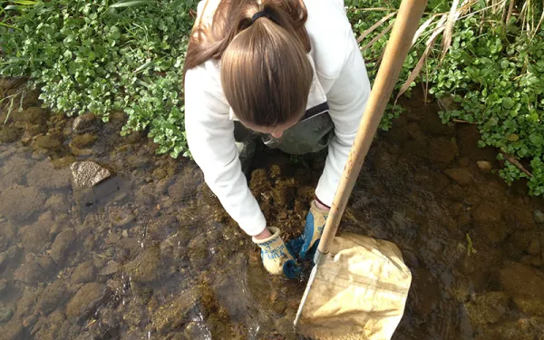 student conducting research in stream