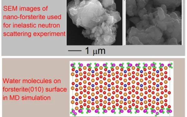 SEM images of nano-forsterite