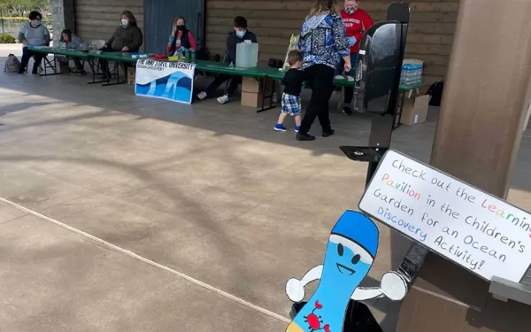 Students participate in activity