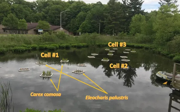 Experimental setup for Zhaozhe Chen’s newly published research