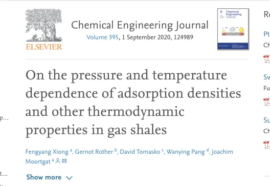 Screenshot of the publication title