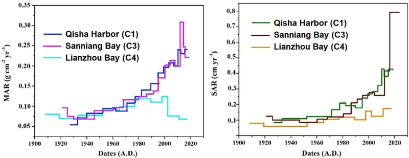 Historical changes in Mass Accumulation Rates (MAR) and  Sediment Accumulation Rates (SAR) in the study area