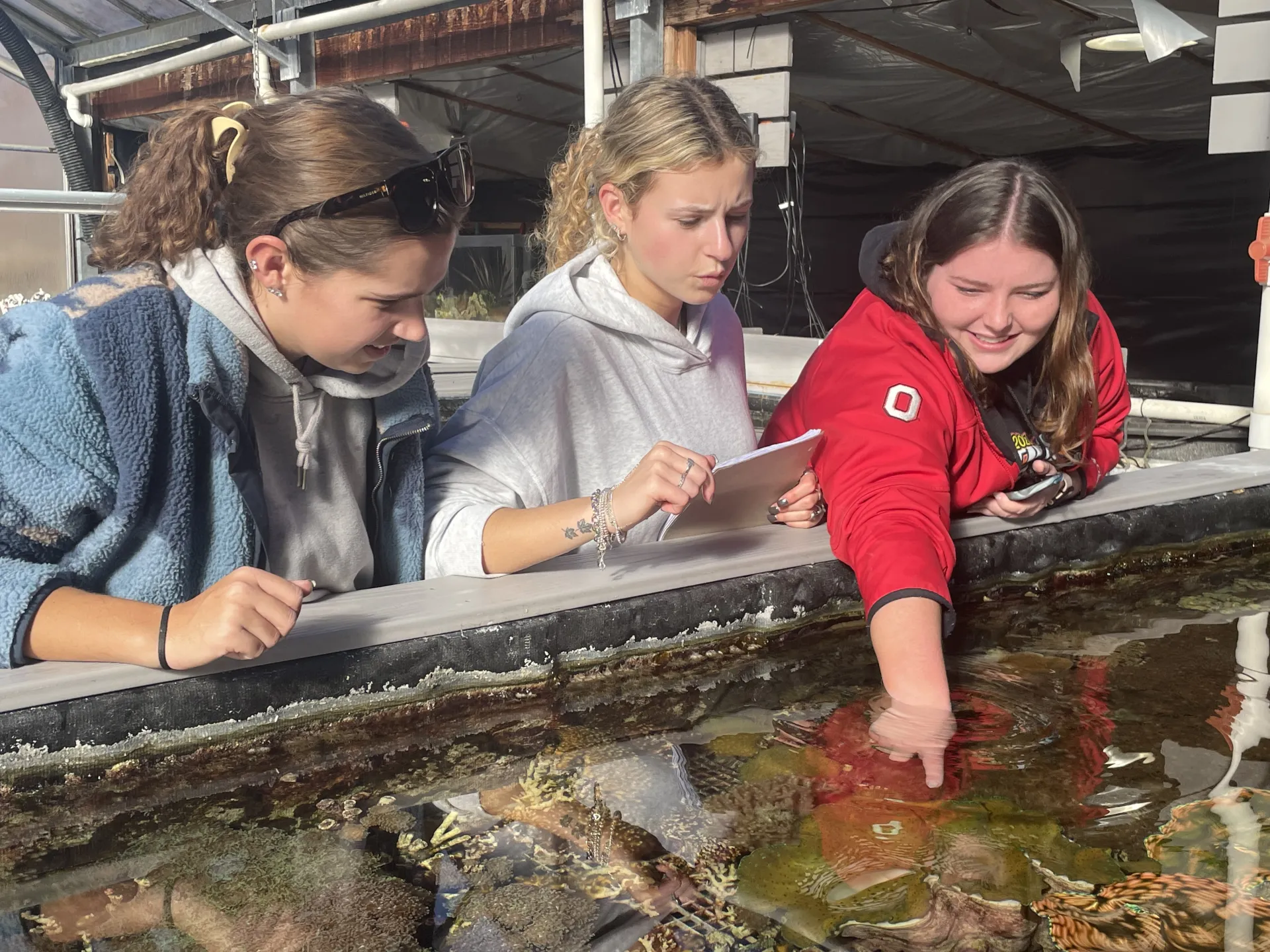 Getting a chance to touch corals at the Reef Systems Coral Farm