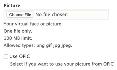 Image Override interface