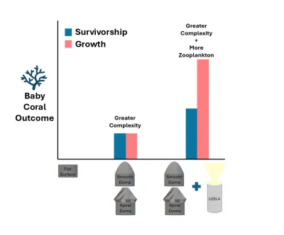 Graphical abstract of research findings.