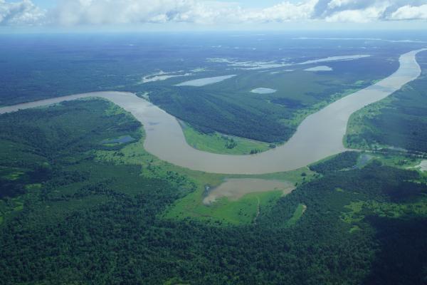 Aerial view of the Amazon from Manaus to Maués, Amazon - Brazil. #482475405, Adobe Stock.