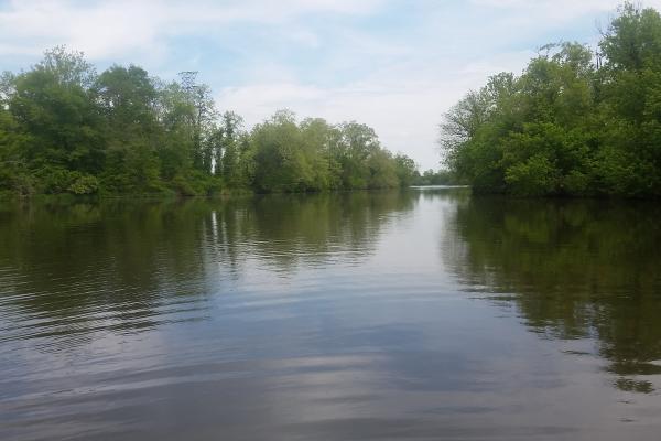 Coastal wetland Coastal wetland