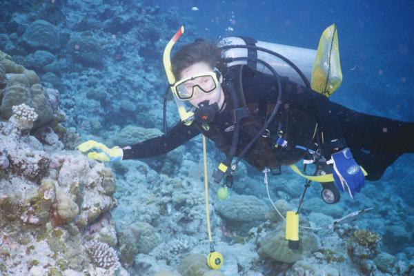 Diver looking at camera while floating underwater next to reef.