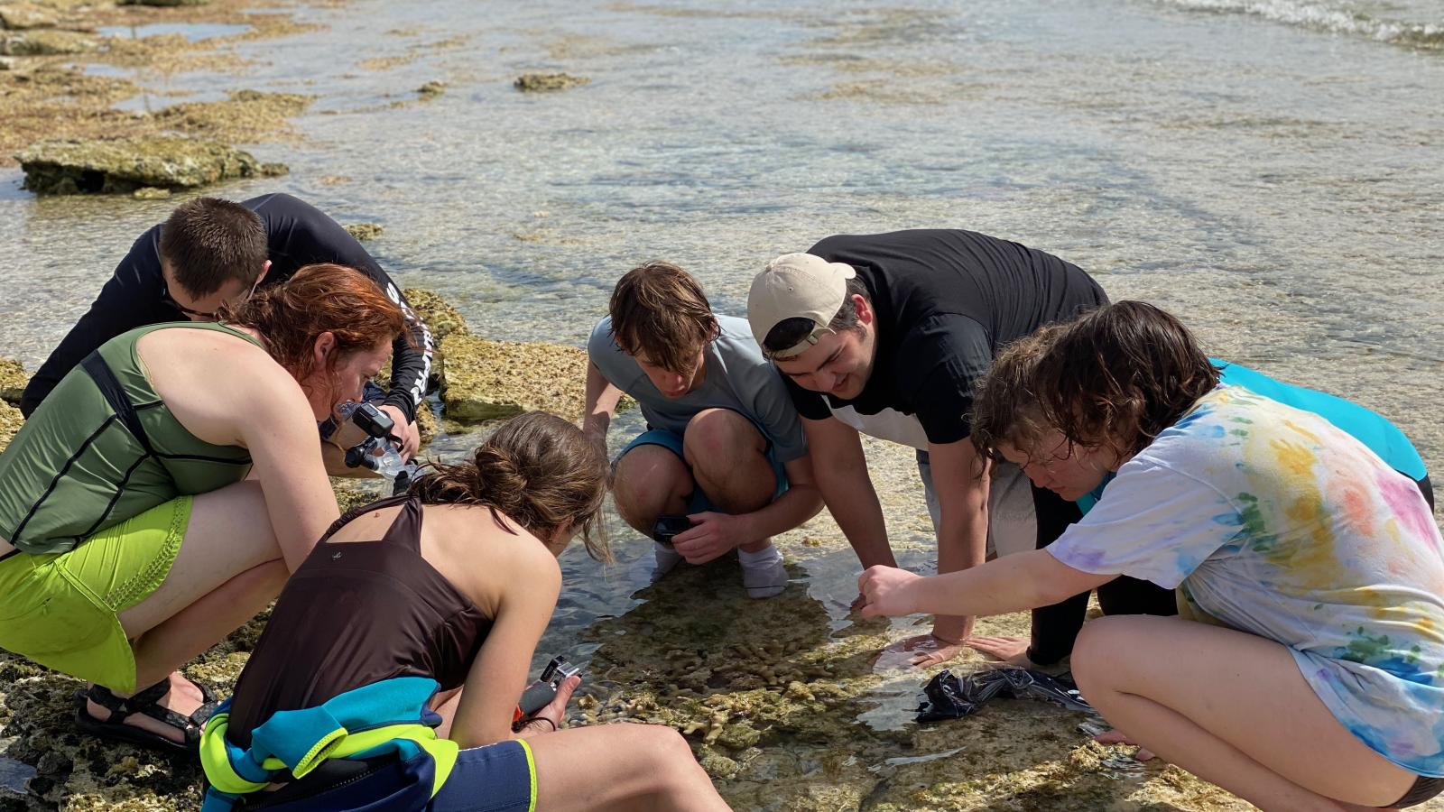 professors and students gather around a tide pool to look at invertibrates