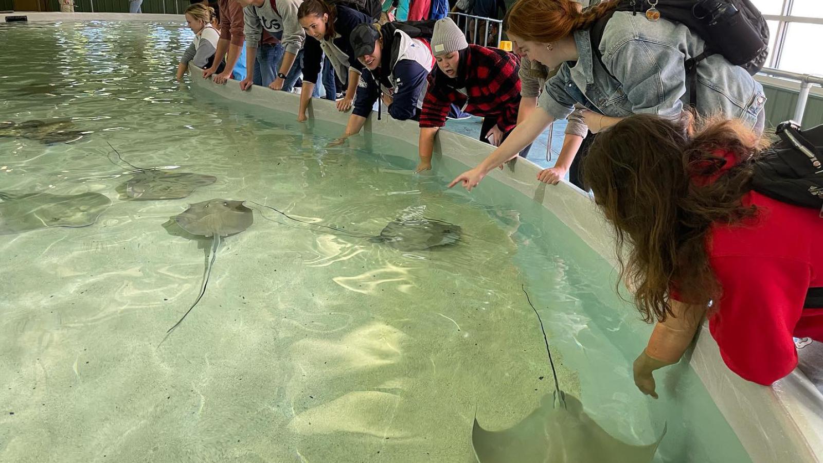 Students at a touch tank at the Columbus Zoo & Aquarium