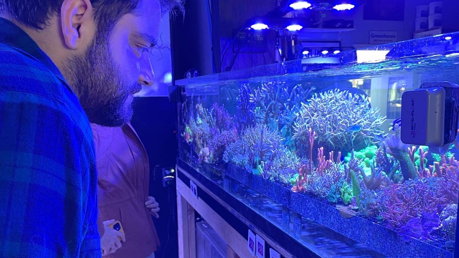 Student looking at coral tanks at Reef Systems