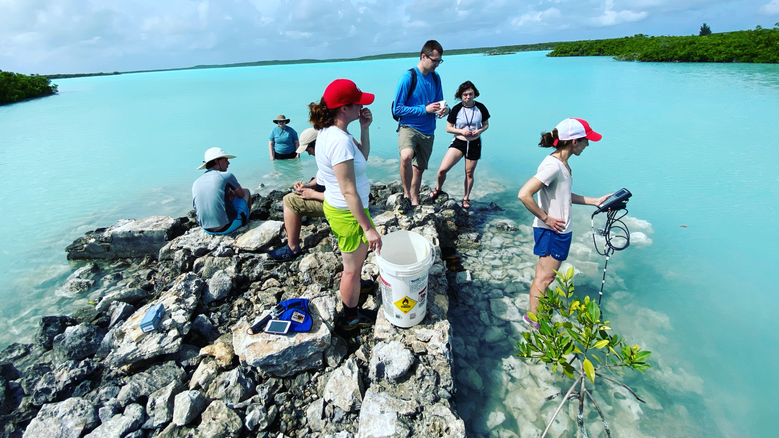 Students in the Bahamas field course collecting data with faculty.