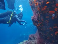 Dr. Ann Marie Hulver collecting corals and water samples at the study site off the island of Ischia, Italy.